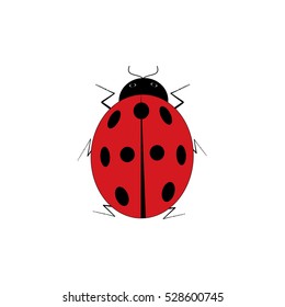 Ladybird isolated. Illustration ladybug on white background. Cute colorful sign red insect symbol spring, summer, garden. Template for t shirt, apparel, card, poster Design element Vector illustration