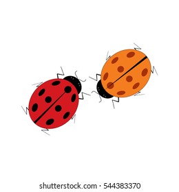 Ladybird isolated. Illustration ladybug on white background. Cute colorful sign red insect symbol spring, summer, garden. Template for t shirt, apparel, card, poster Design element Vector illustration