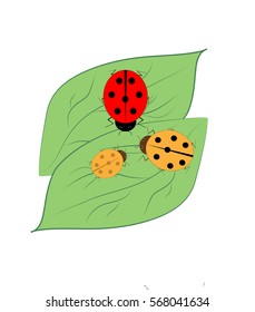 Ladybird isolated. Illustration ladybug on green leaf. Cute colorful sign red insect symbol spring, summer, garden. Template for t shirt, apparel, card, poster Design element Vector illustration