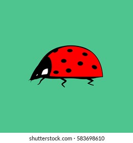 Ladybird isolated. Illustration ladybug on green background. Cute colorful sign red insect symbol spring, summer, garden. Template for t shirt, apparel, card, poster Design element Vector illustration