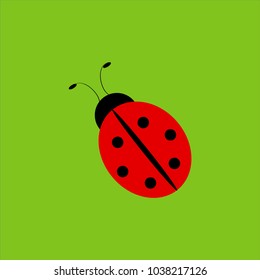 Ladybird isolated on green background - vector