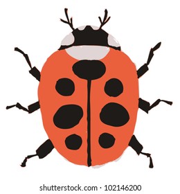 Ladybird isolated on white background. Vector illustration