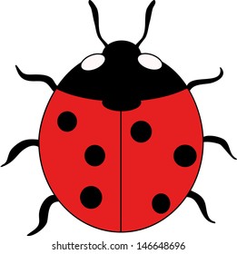 Ladybird Isolated On White Background Stock Vector (Royalty Free ...