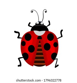 Ladybird isolated on white background. Ladybug small icon. Red lady bug sign. Top view of cartoon black and red insect lady beetle. Symbol of nature, spring, summer. Flat graphic style. Stock vector