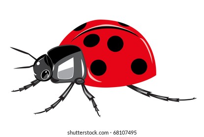 Ladybird isolado no fundo branco.