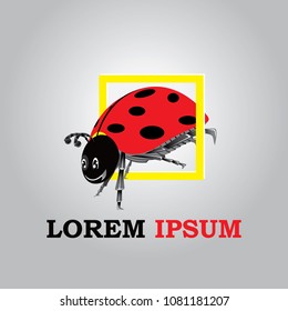 ladybird, ladybug, insect beetle cute cartoon design