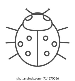 Lady-bird or line art ladybug isolated on light background . Cartoon vector illustration.