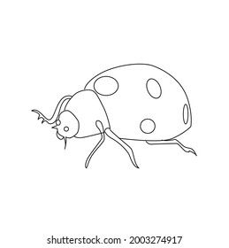 Ladybird Line Drawing Clip Art 