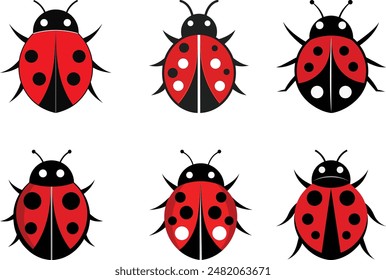Ladybird logo vector illustration icon