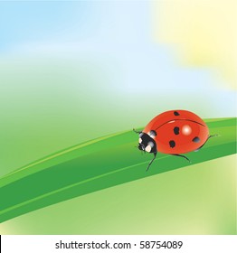 ladybird on a blade of grass with defocused multicolored background