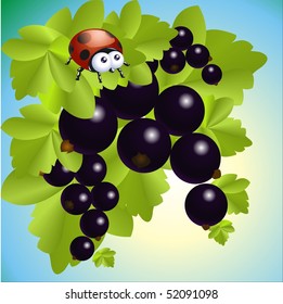 Ladybird on currants. Vector.