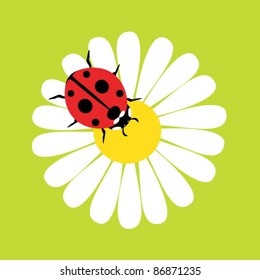 Ladybird on daisy flower vector