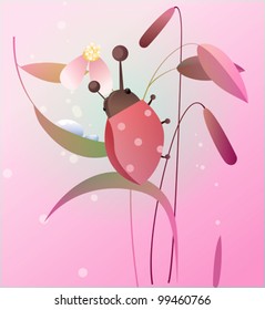Ladybird on a flower
