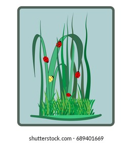 Ladybird on grass card. Illustration ladybug in olive frame. Cute colorful sign insect symbol spring, summer, garden. 