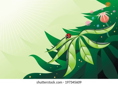 Ladybird on a green leaf, vector 