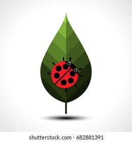 Ladybird on a green leaf. Vector illustration