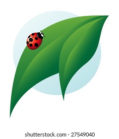 Ladybird on leaf