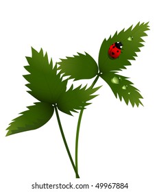 Pajarito en la hoja