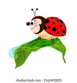 Pájaro de labio sobre la hoja aislado sobre fondo blanco. Cartoon ladybird arrastrándose en hojas con rocío. Graciosa mariquita en la naturaleza de verano. Escarabajo rojo personaje de mascota.insecto sonriente de maribeetle.insecto divertido.Vector