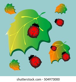 ladybird on a leaf vector illustration