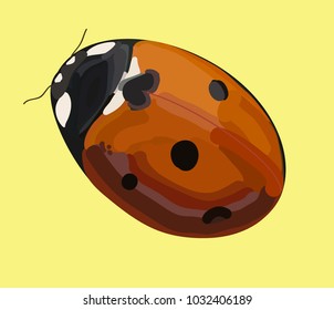 Ladybird on a light colored background