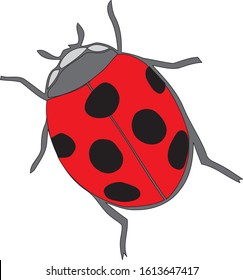 Ladybird on white background. Cute cartoon ladybug icon.