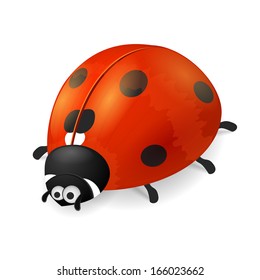 Ladybird on white background. Cute cartoon ladybug icon.