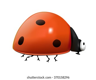 Ladybird on a white background. Insect. Vector
