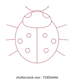 Ladybird on white background . Vector illustration.