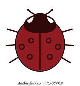 Lady-bird or red ladybug isolated on light background . Cartoon vector illustration.