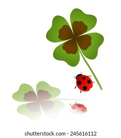 ladybird and shamrock leaf with reflection