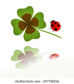 ladybird and shamrock leaf with reflection