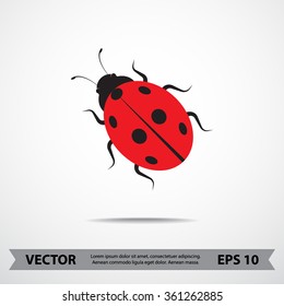 Ladybird sign icons, vector illustration. Flat design style 