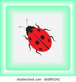 Ladybird sign icons, vector illustration. Flat design style 