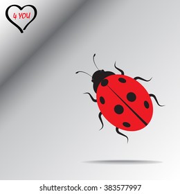 Ladybird sign icons, vector illustration. Flat design style 