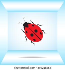 Ladybird sign icons, vector illustration. Flat design style 