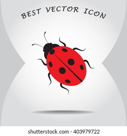 Ladybird sign icons, vector illustration. Flat design style 
