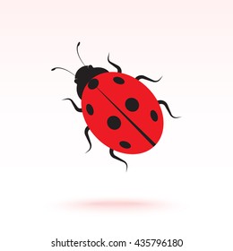 Ladybird sign icons, vector illustration. Flat design style 