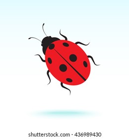 Ladybird sign icons, vector illustration. Flat design style 