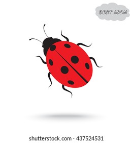 Ladybird sign icons, vector illustration. Flat design style 