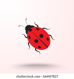Ladybird sign icons, vector illustration. Flat design style 
