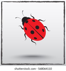 Ladybird sign icons, vector illustration. Flat design style 