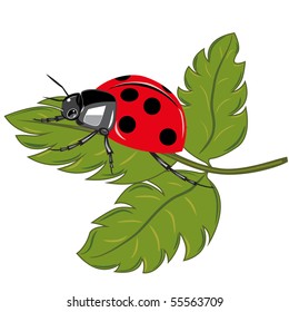 Marienkäfer, der auf der Vektorgrafik des grünen Blattes sitzt.