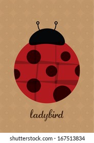 ladybird template vector/ illustration/ layout design/ background/ graphics/ wallpaper