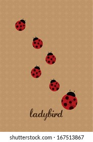 ladybird template vector/ illustration/ layout design/ background/ graphics/ wallpaper