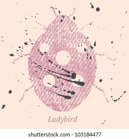 Ladybird texture