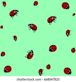 Ladybird texture. Realistic design. Vector illustration.