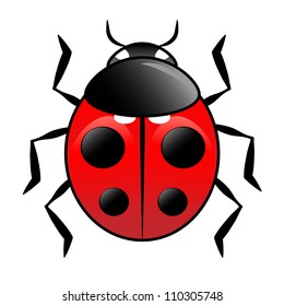 Ladybird vector