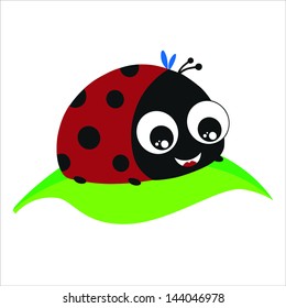 Ladybird Vector