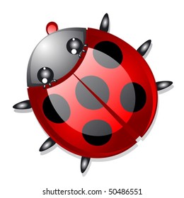 ladybird. Vector